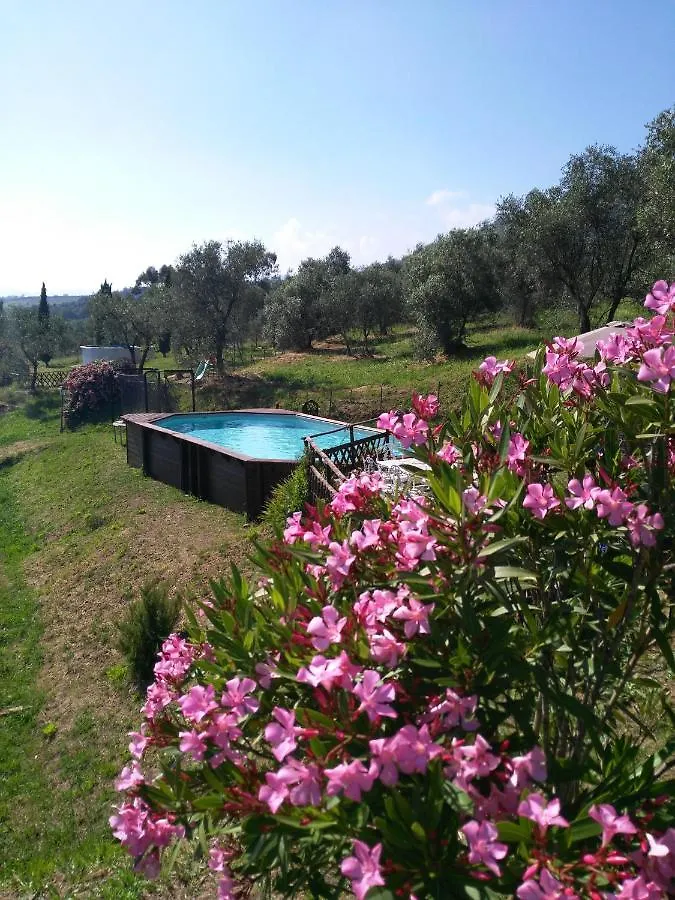 Casale Camaiore Capannori Holiday home