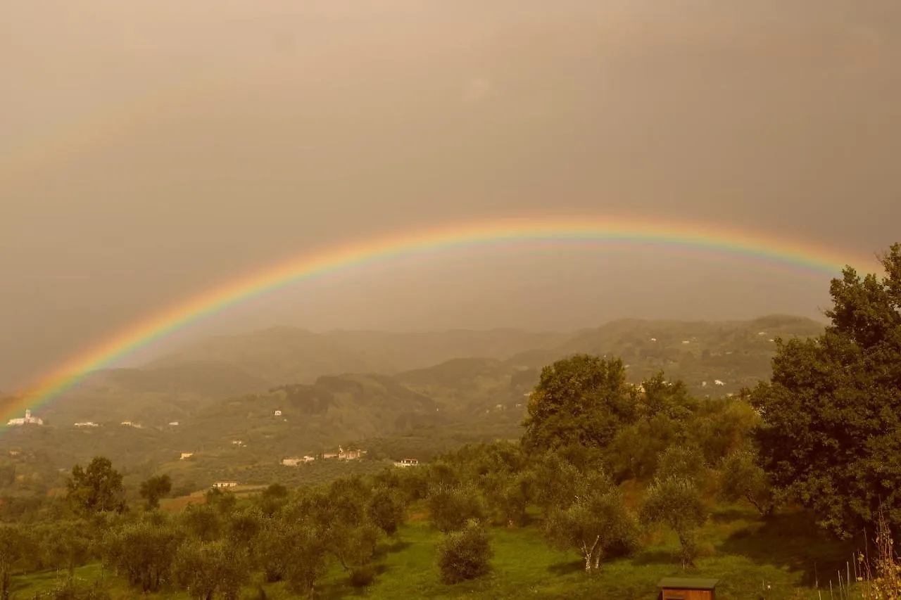 Casale Camaiore Capannori Holiday home