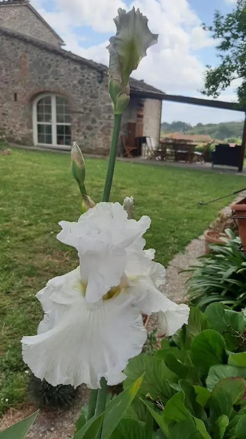 Holiday home Casale Camaiore Capannori